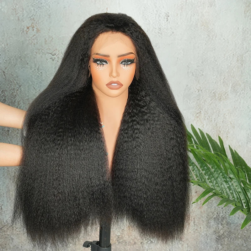 13x4 HD Lace Wig Double Drawn Kinky Straight Raw Virgin Human Hair Wigs Invisible HD Lace Melt Skins Pre Plucked Natural Color